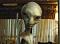 alien28 alien28