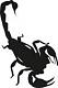 SCORPION.