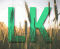 LKstill
