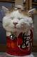 kitttttttt